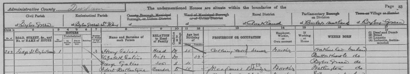Great grandparents Henry and Elizabeth and grandfather George in the 1901 census of Durham