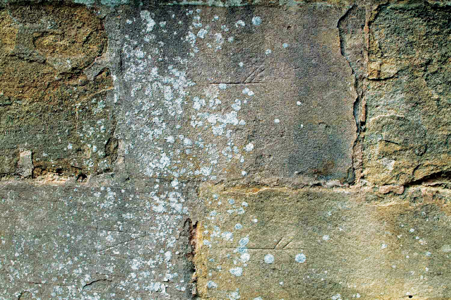  Three different masons’ marks at Fountains Abbey