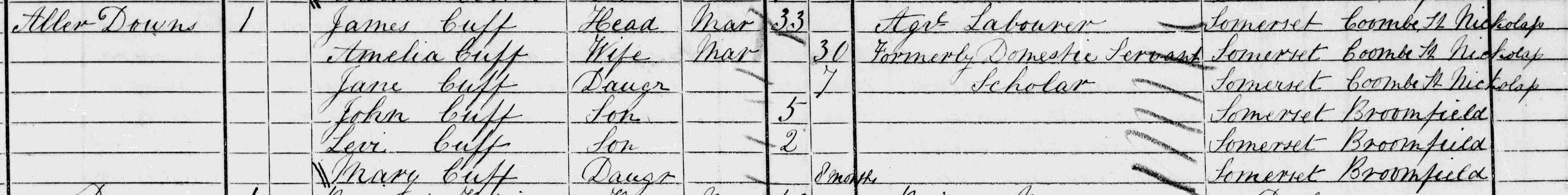 James Cuff & Family in the Devon 1871 Census