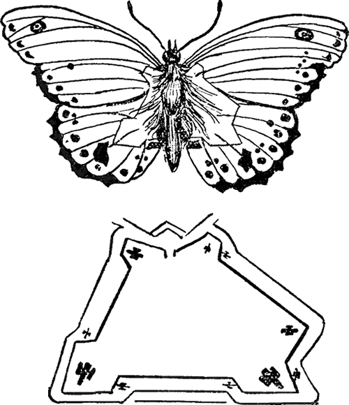 Baden-Powell's sketches of a butterfly, and the hidden areas in the sketch