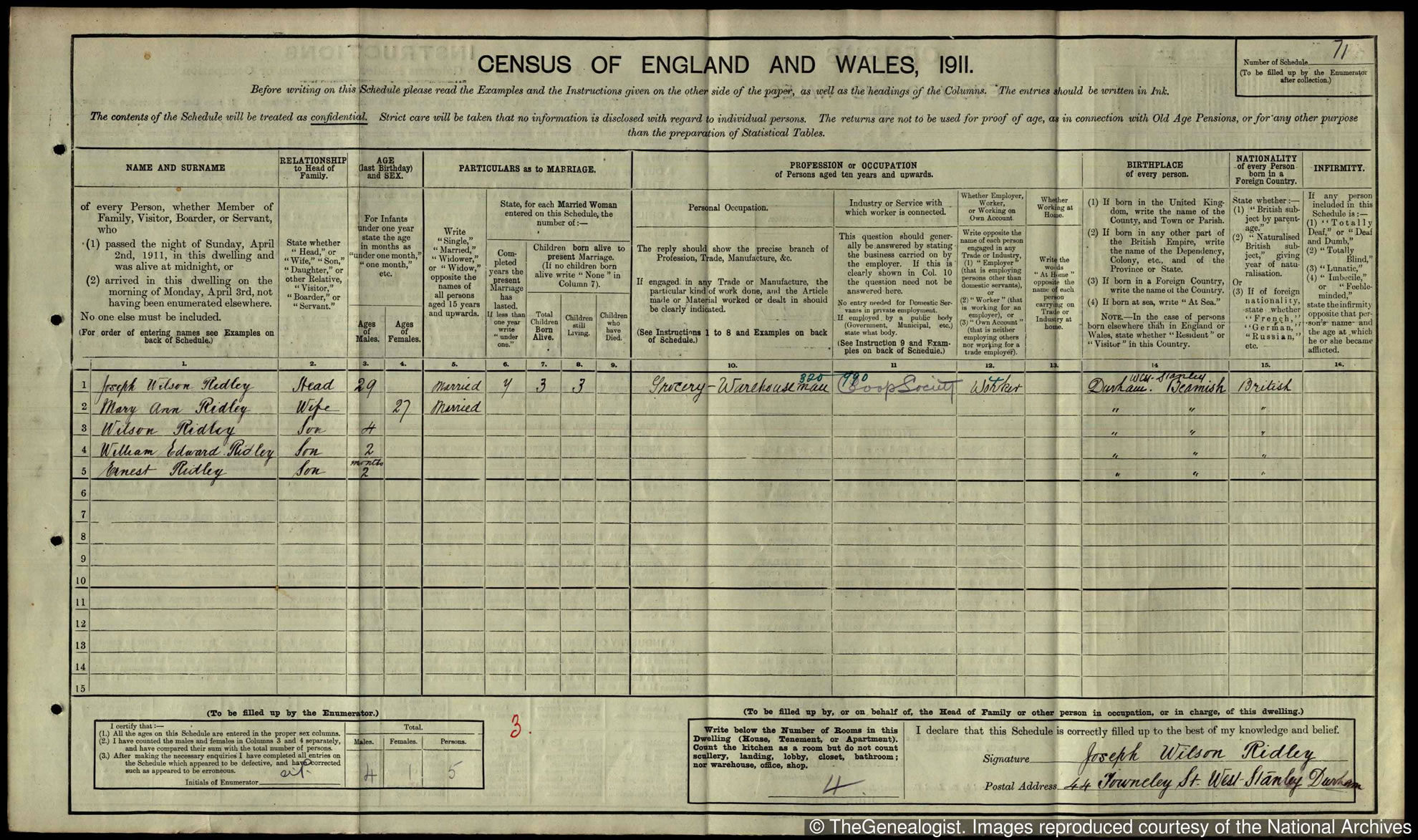 1911 Durham census on TheGenealogist