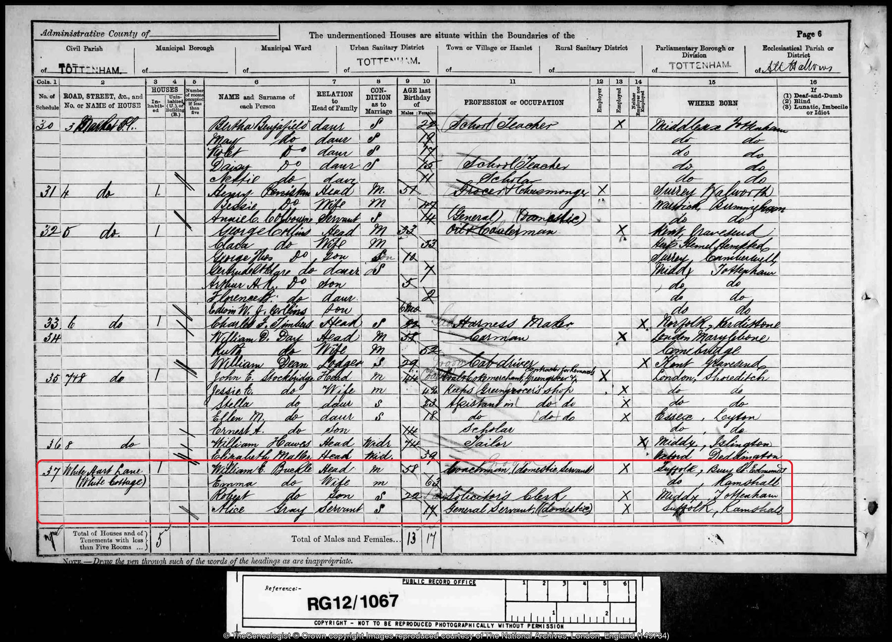 1891 census finds the Buckles of White Cottage, White Hart Lane