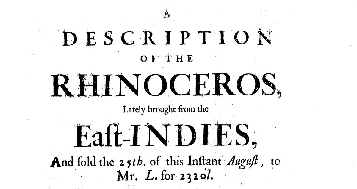 A contemporary news-sheet describing rhinoceroses to an audience new to them