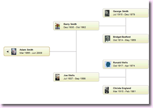 Build your family tree in minutes
