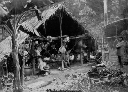 An Indian Home British Guiana (Forest, Guyana, hut, South America)