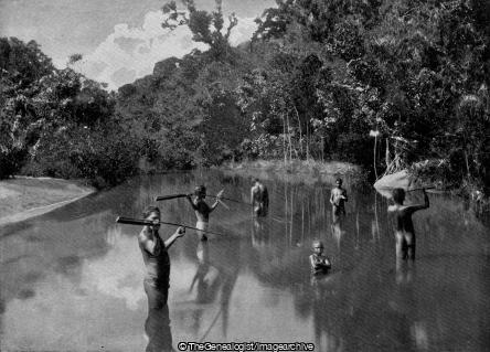Australian Aboriginals Spearing Fish (Aborigine, Australia, Fisherman, Fishing, Spear)