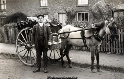 Baker Horse and cart (Baker, basket, bread, C1910, delivery boy, horse and cart, J. M. Alston Baker)