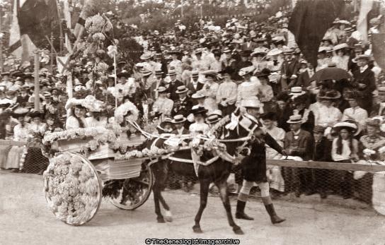 Battle of flowers (1905, Battle of Flowers, C1900, horse and cart, Jersey, St Helier Town)
