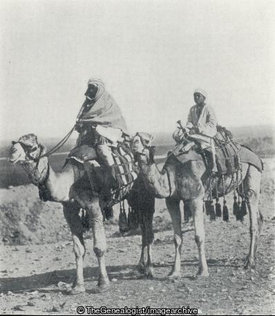 Bedouins Crossing the Desert (Arabic Badawi, Bedouin, Beduin, Camel)