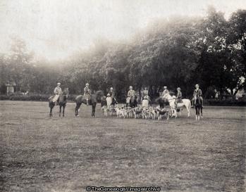 Belgaum Hounds 1896 (1896, Belgaum, Horse, Hound, India, Karnataka, Mysore State)