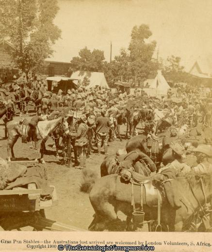 Boer War - Gras Pan Stables - the Australians just arrived are welcomed by London Volunteers, South Africa (3d, Australia, Boer War, City of London Imperial Volunteers, Graspan, Horse, North West, South Africa, Stables, Tent)