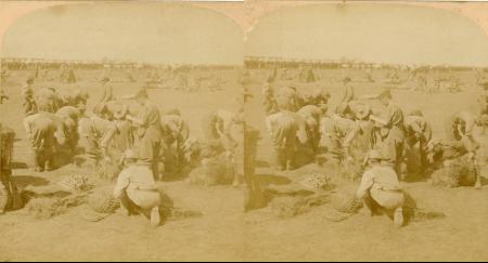 Boer War - Tommy's friend is not forgotten - taking rations for the horses - Moddar River, South Africa (3d, Boer War, Hay, Hay Net, Horse, Modder River, Rations, South Africa, Tommy)