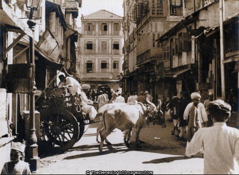 Bombay Street (Bombay, India, Maharashtra, Ox and Cart, Street)