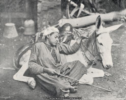 Boy Resting on his Donkey (Donkey)