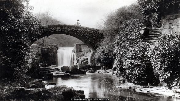 Bridge and Falls Jesmond Dene (A, Braithwell, Bridge, Elmfield, Jesmond Dene, Miss, Rhodes, waterfalls, Yorkshire)