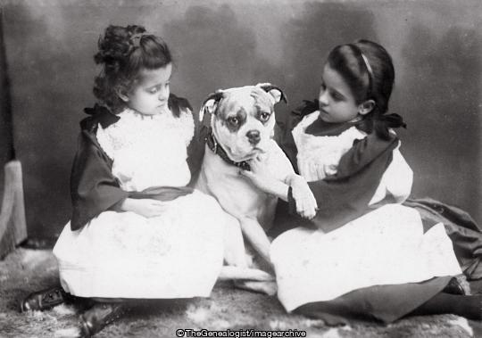 Bulldog with two girls Brighton C1900 (1900, Bulldog, Comic, comic theme, Dog, girls, Victorian)