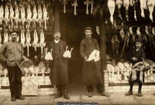 Butcher Shop displaying rabbits and geese (Butchers, C1900, goose, Rabbit)