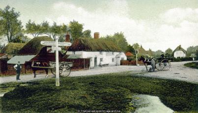Cadnam, New Forest (Cadnam, England, Hampshire, horse and cart, New Forest, vehicle)
