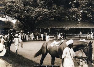 Calcutta Races (Calcutta, Horse, Races)
