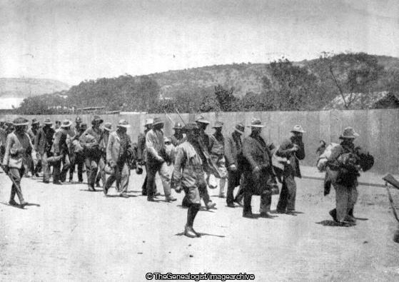 Captured Rebels of De Wet's Commando (prisoners, WWI)