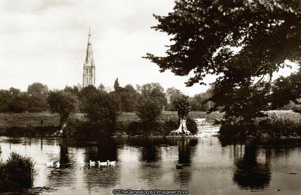 Cathedral and River, Salisbury (Avon, Cathedral, England, River, Salisbury, Salisbury Cathedral, Wiltshire)