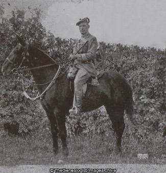 Col W D Scott DSO (16th Battalion, Colonel, DSO, Highland Light Infantry, Horse, WW1)