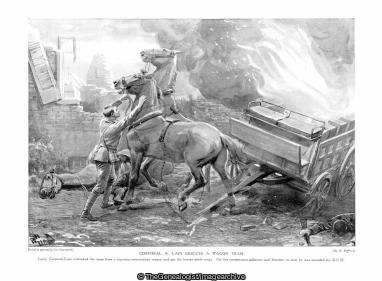 Corporal A Lain rescues a wagon team (Corporal, DCM, Horse, Royal Artillery, WW1)