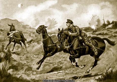 Corporal E W Grice catching runaway mules laden with rations for the trenches when exhausted by his wounds (Corporal Grice, DCM, E W Grice, WW1)