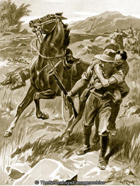 Corporal W R Van Blommestein carries a wounded comrade to safety while under fire (Corporal, Corporal W R Van Blommestein, DCM, South African Horse, WW1)