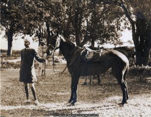 Delhi Tent Club Feb 19 1933 Meet at Risalpur CCAs Horse lent by Mr Telfer (1933, C1930, Hunting, India, Risalpur)