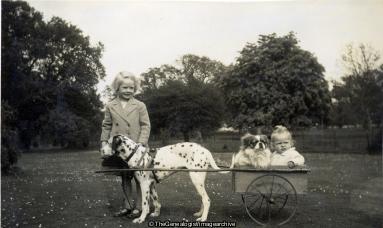 Dog and cart carrying baby and smaller dog (Dalmatian, Dog, Dog Cart)