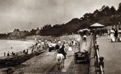 Dorset Lyme Regis 1910 (1910, Beach, Dorset, Horse, lyme regis, Marine  Parade)