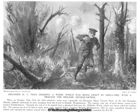 Drummer Harry Vincent Penn crossing a wood which was being swept by shell fire with a message for brigade headquarters (2nd Grenadier Guards, Drummer H V Penn, Drummer Harry Vincent Penn, WW1, Zillebeke Wood)