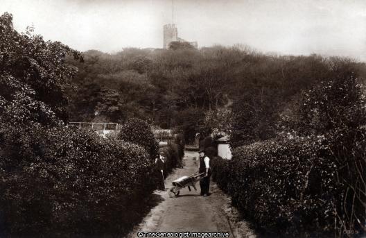 Dudley Castle from Priory Gardens C1910 (Dudley, Dudley Castle, Gardener, Priory Gardens)