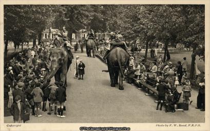 Elephant Riding at London Zoo 1936 (1936, Elephant, England, F.W.Bond, London, Photographer, Royal Photographic Society, Zoo, Zoological Park)