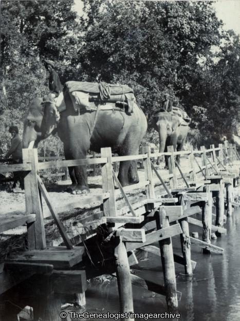 Elephants Crossing a Bridge (Bridge, Changa Nala, Elephant, India, Mahout, United Provinces)