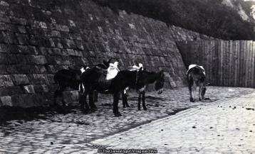 Folkestone 23 May 1900 (Donkey, Folkestone)