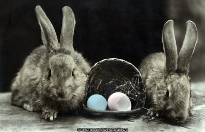 For Easter Care the bunnys have to take Else perhaps the eggs will break (Easter, Rabbit)