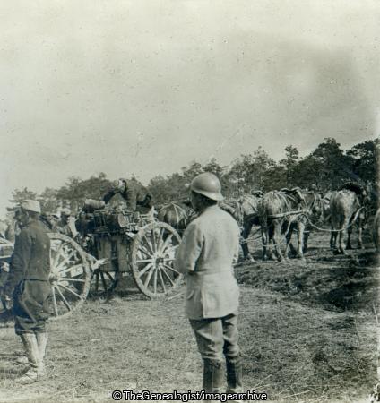 French Artillery in the Village of Perthes les Hurlus (1918, 3d, Artillery, Champagne-Ardenne, France, French, Gun And Limber, Horse, Souain-Perthes-lès-Hurlus, WW1)