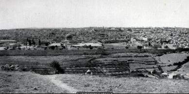 General View of Jerusalem from the mount of Olives (Jerusalem, Mosque, Mount of Olives, Palestine, Somerset Light Infantry, WW1)
