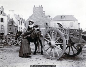Girls arriving on Horse and Cart Salon McCrays C1890 (Horse, horse and cart, Market)