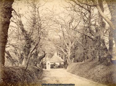 Grainville Avenue et Loge de Portier St Saviour Jersey 1887 (1887, Grainville Avenue, Jersey, Lodge House, Porter's Lodge, St Saviour, Tree)