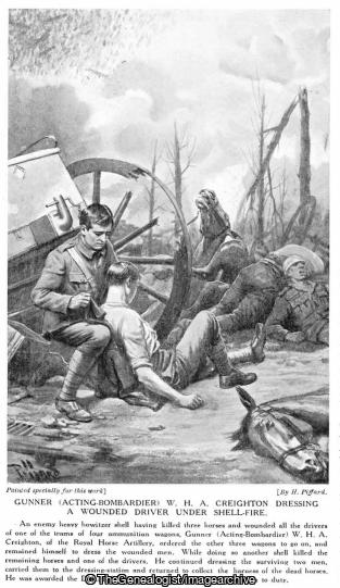 Gunner (Acting Bombardier) W H A Creighton dressing a wounded driver under shell fire (Gunner (Acting Bombardier) W H A Creighton, WW1)