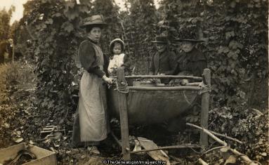 Hop Picking Family 1912 (1/2d, 1912, 43 Redcross Street, Cousin, Grantham, Hereford, Hop Picking, Lincolnshire, Max)