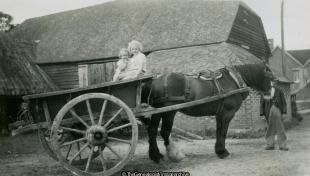 Horse and cart (Britford Farm, Farm, horse and cart, Salisbury)