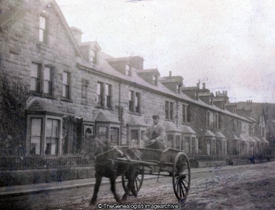 Horse and Cart with man in street (C1900, Horse amd Cart, horse and cart)
