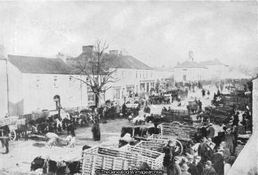 Irish Pig Fair (Abbeyleix, Cart, Farmer, Horse, Ireland, Pig)