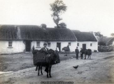 Irish Turf Sellers (Donkey, Ireland, Peat Farming)