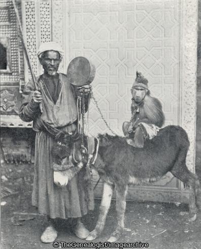 Itinerant Musician (Donkey, Egypt, Monkey, Musician)