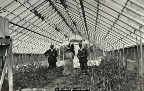 Kingswood Nursery Greenhouse Manager Owner and Wife C1910 (C1910, Greenhouse, Kingswood Nursery, Nursery)